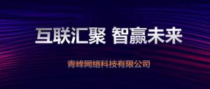 “互聯(lián)聚匯，智贏未來” 2019焦作青峰全網(wǎng)合作峰會***成功！